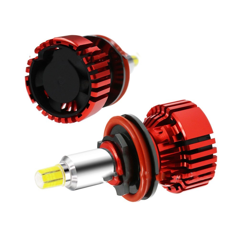 Buzzori products