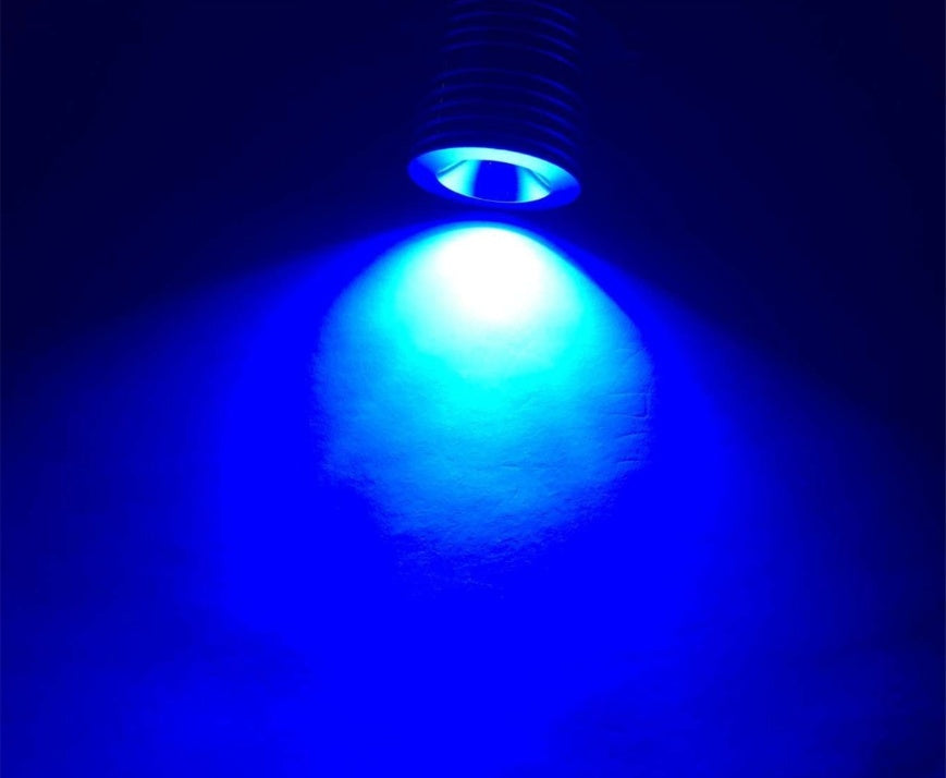 Buzzori product