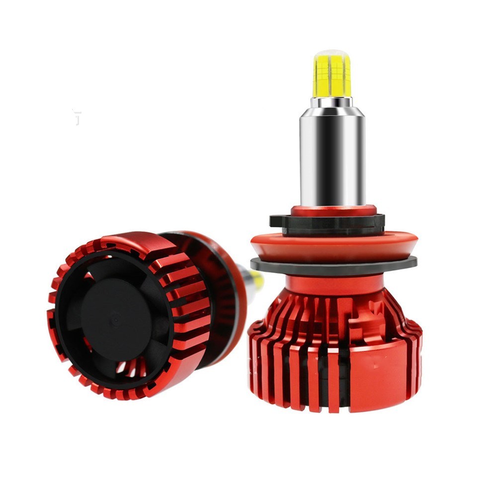 Buzzori products