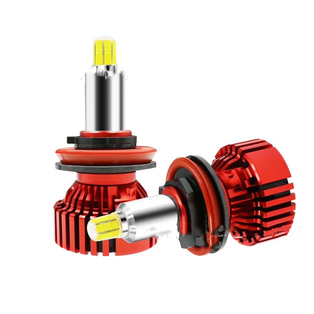 Buzzori products