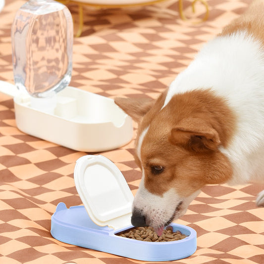 Corgi eating from a stylish portable dog food container on a patterned tablecloth.