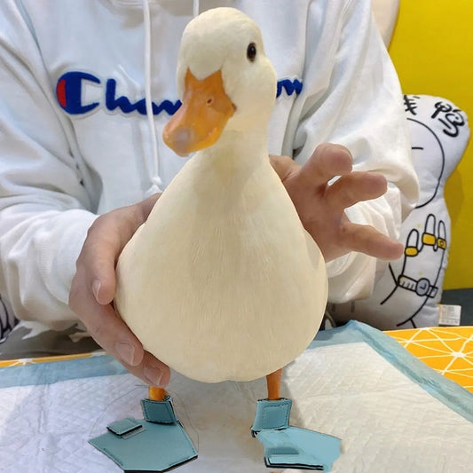 Duck wearing protective blue shoes held by a person, showcasing pet duck footwear for outdoor use.